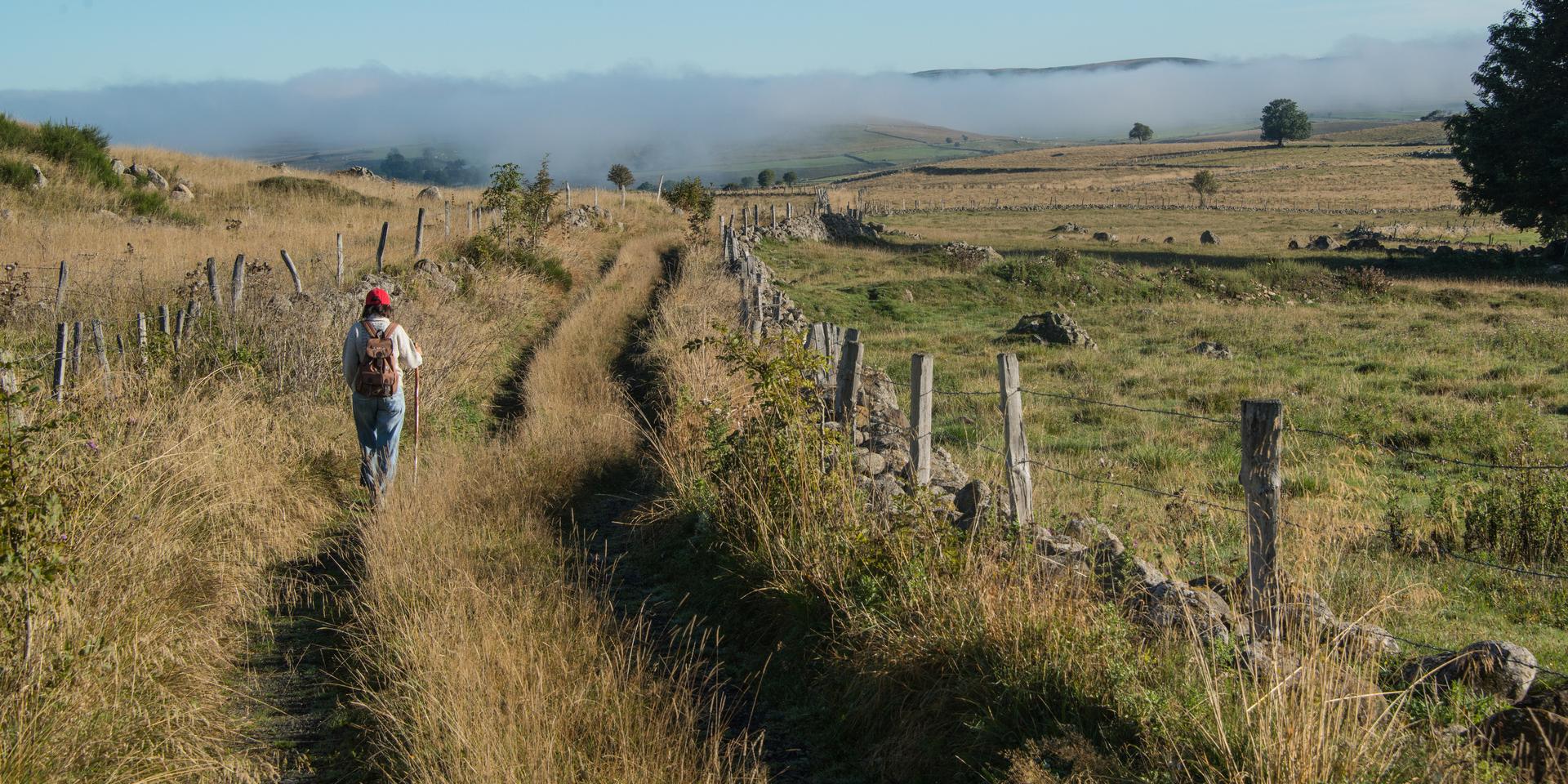 Aubrac hiking trail - Chemin de Saint Guilhem le Désert