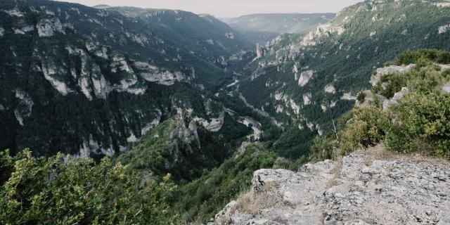 Vue panoramique des Gorges du Tarn au Point Sublime