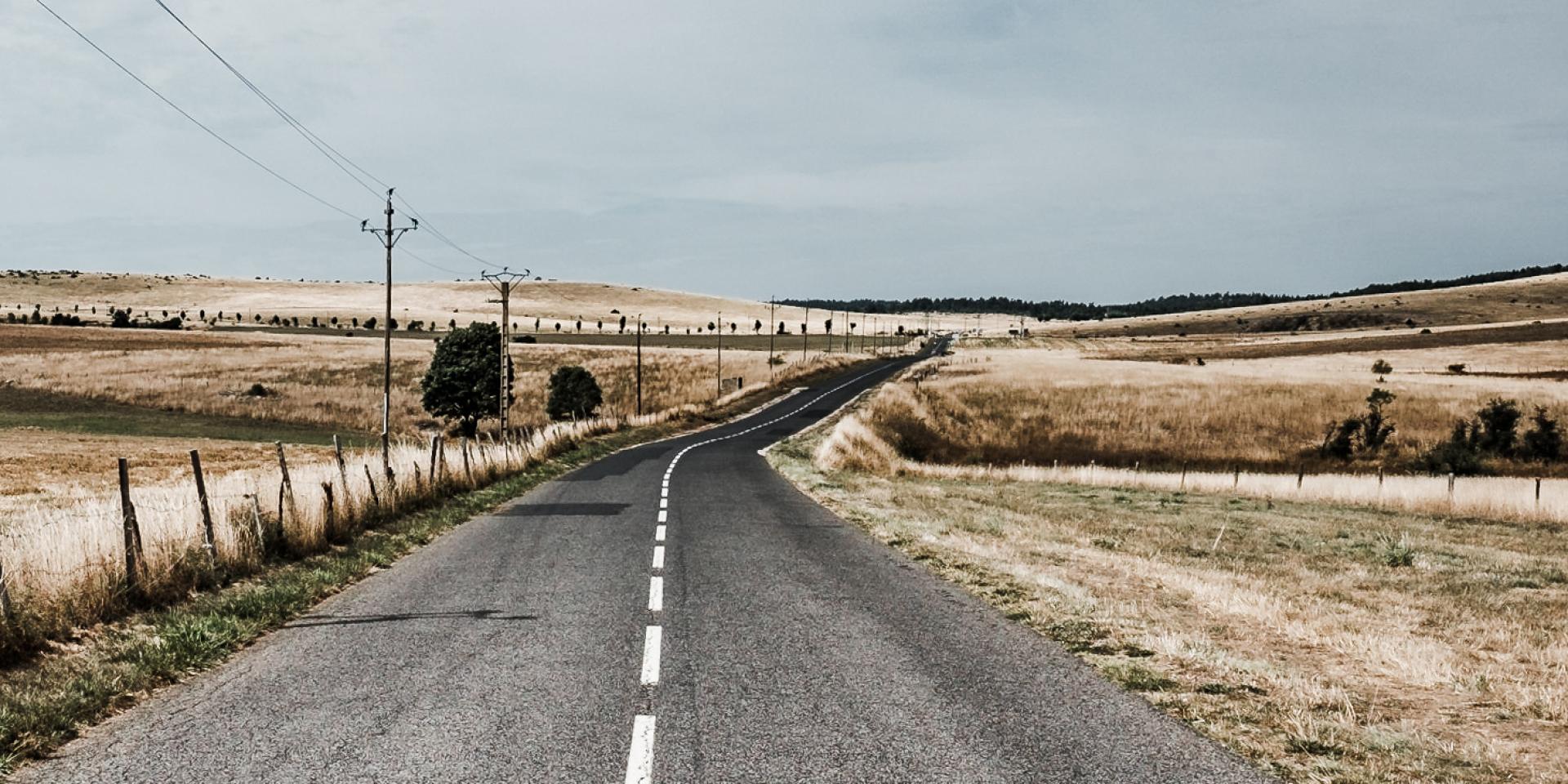 Road on the Causse Méjean bordered by fields of angel hair