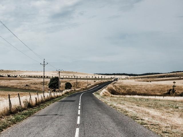 Road on the Causse Méjean bordered by fields of angel hair