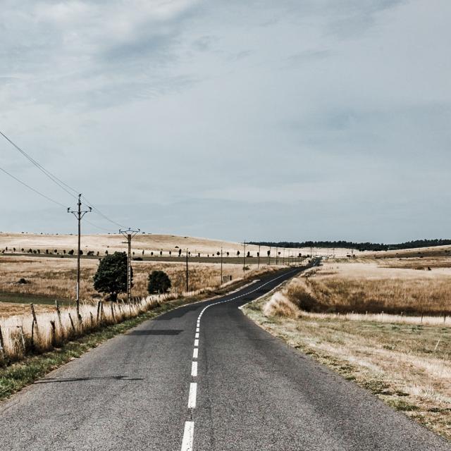 Road on the Causse Méjean bordered by fields of angel hair