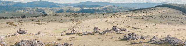 Limestone chaos at the Nimes le Vieux site on the Causse Méjean