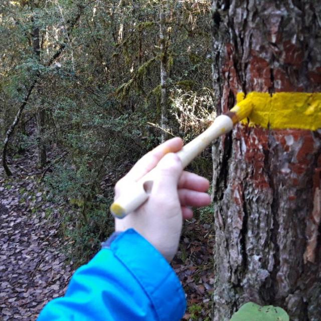 markers for lozère
