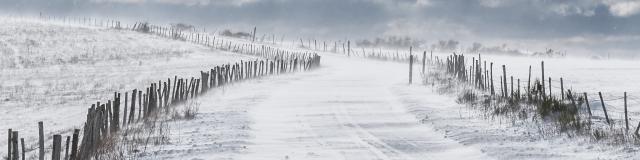 Aubrac landscape in the snow