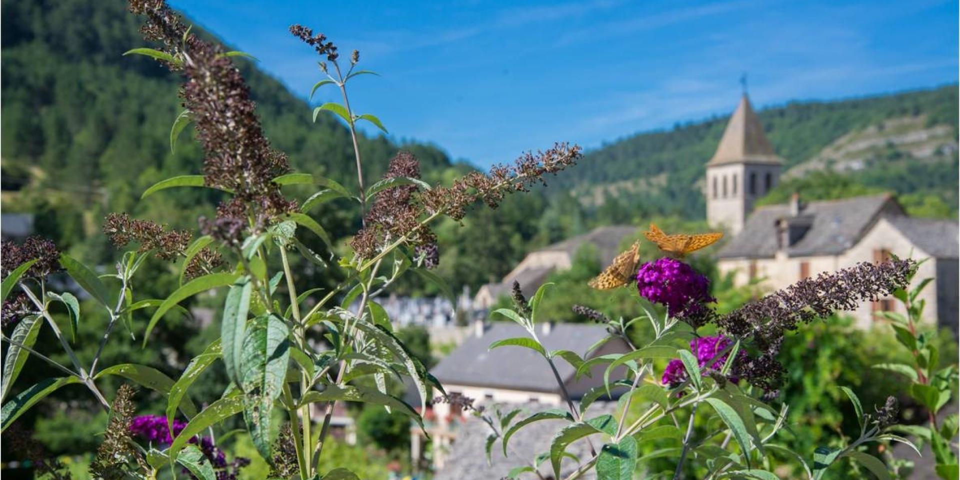 Chanac village lot valley
