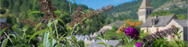 Chanac village lot valley