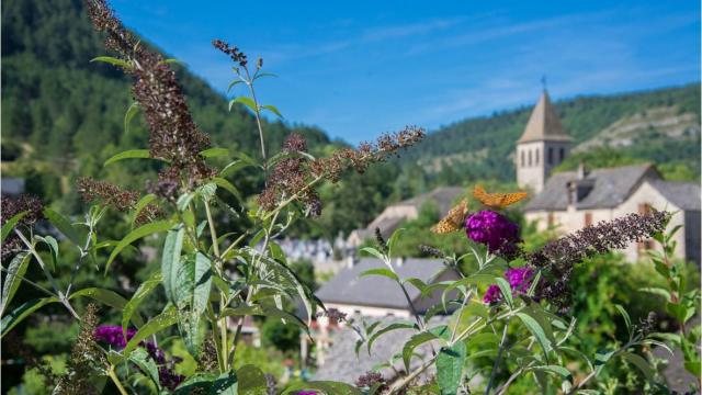 Chanac village lot valley