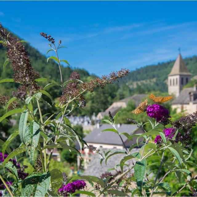 Chanac village lot valley