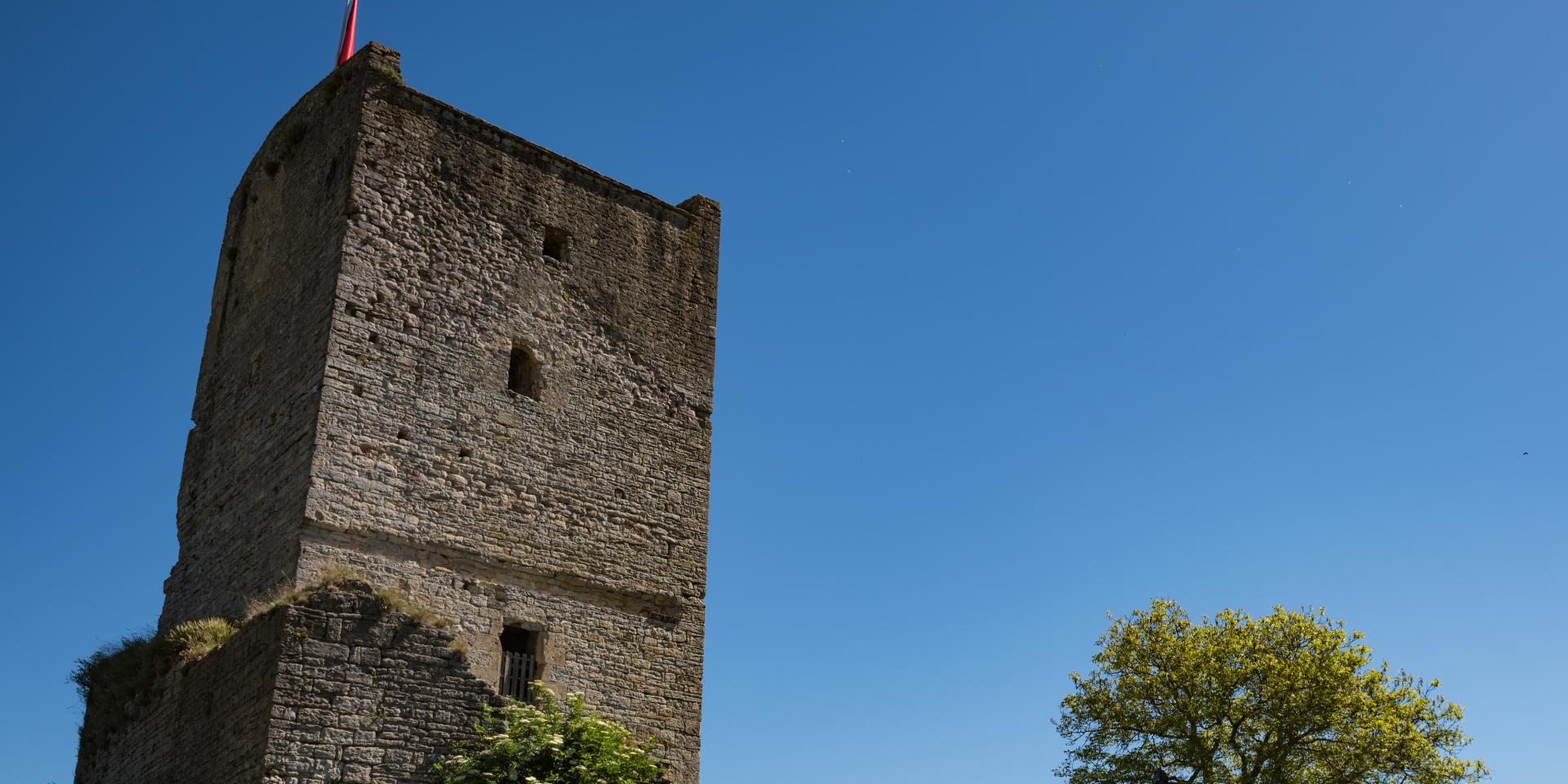The Tour de Chanac, vestige of the castle of the bishops of Mende; Lot Valley