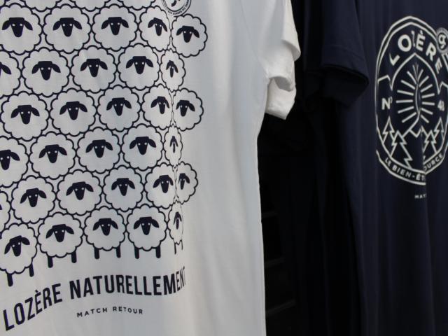 Lozère tee-shirt with sheep in white and navy colour