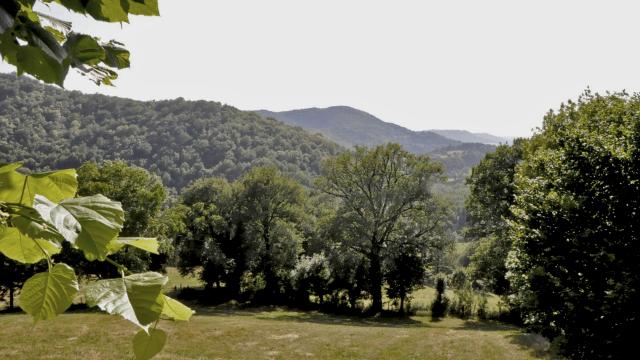 Landscape on the Red Sandstone hiking trail in the Lot Valley, in the commune of Banassac.