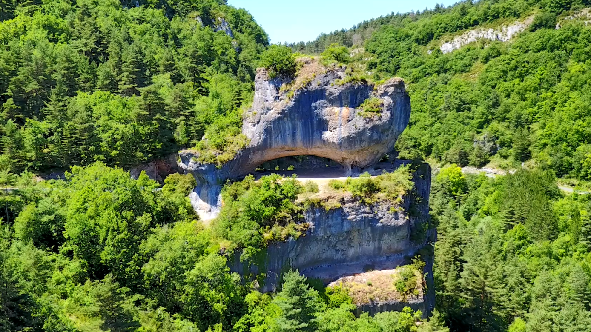 le-causse-m-jean-et-les-gorges-de-la-jonte-les-vignes-massegros