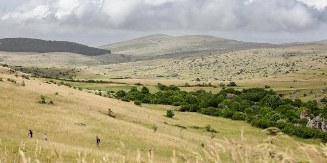 Paysage du Causse Méjean et ses grandes étendues