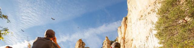Hike the Causse Méjean ledge and watch vultures in flight