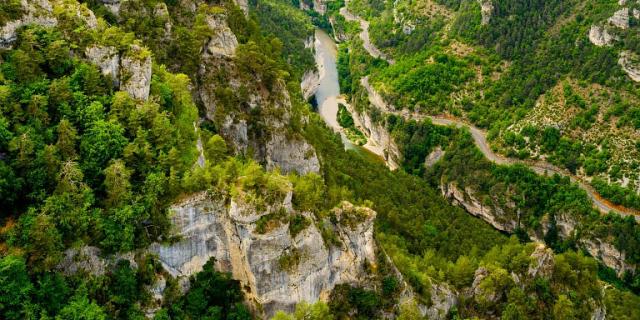 Panoramic view of the Gorges du Tarn from the Causse Méjean