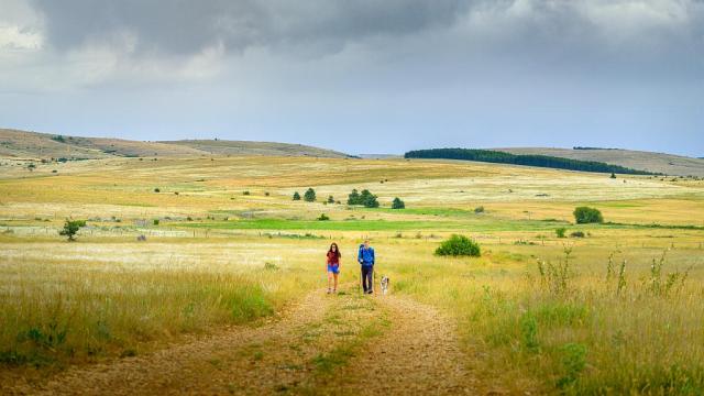 Randonnée en couple avec son chien sur le Causse Méjean