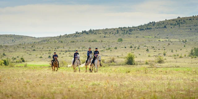 Un groupe de cavalier se promène sur le Causse Méjean