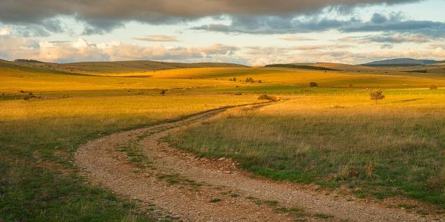 The vast limestone plateau of the Causse Méjean