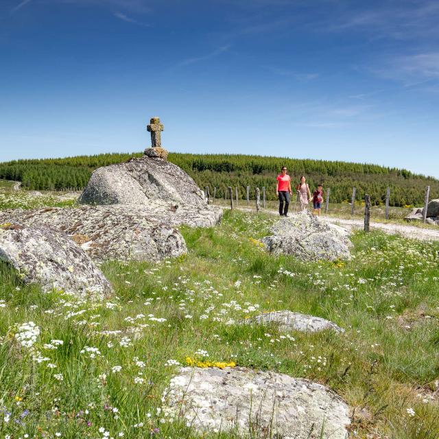 Stroll through crosses and calvaries, aubrac.