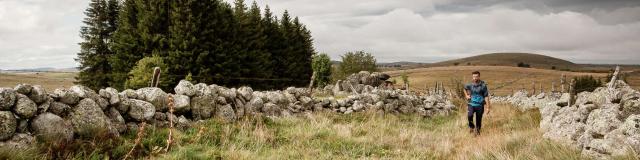 Hiker on the Aubrac plateau.