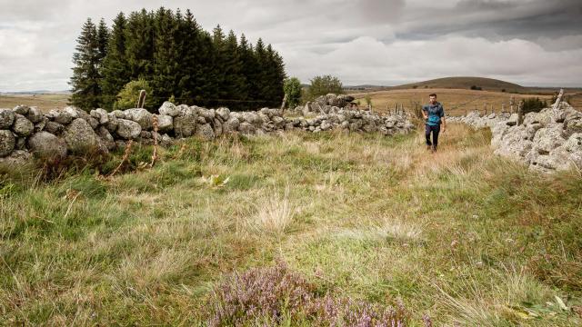 Hiker on the Aubrac plateau.