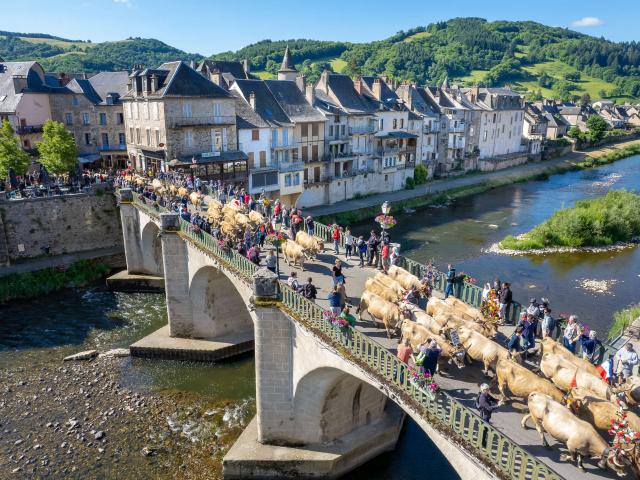 Estive St Geniez d'Olt, cows on the bridge.