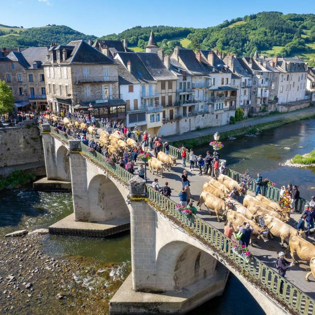 Estive St Geniez d'Olt, cows on the bridge.
