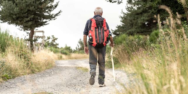 Hiker on the Camino de Compostela