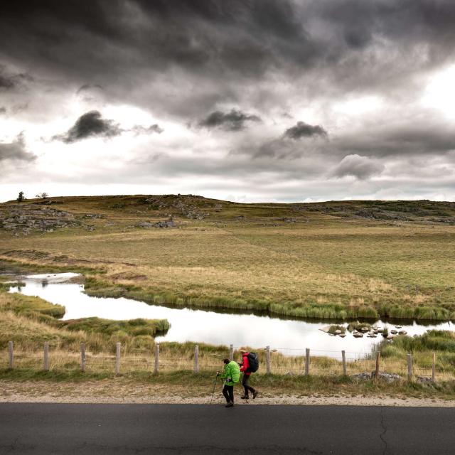 Gr 65 Chemin de Compostelle hiking in Aubrac