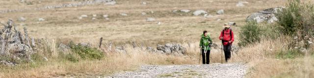 Couple of hikers on the Camino de Compostela.