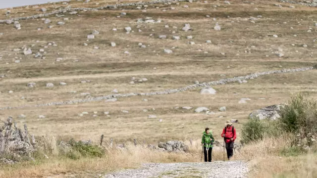 Couple of hikers on the Camino de Compostela.
