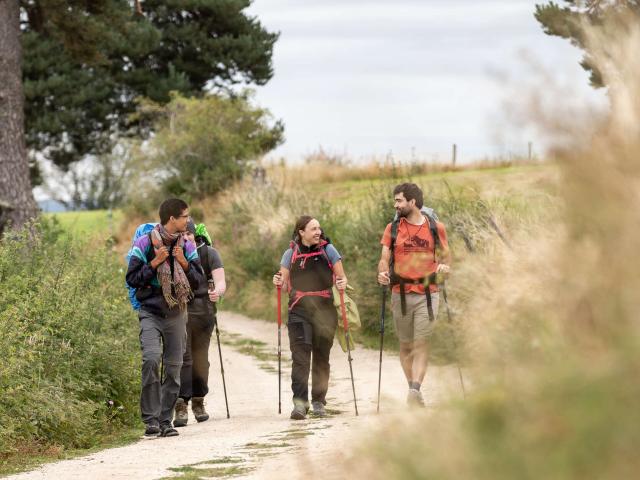A group of young hikers on the Aubrac trail.