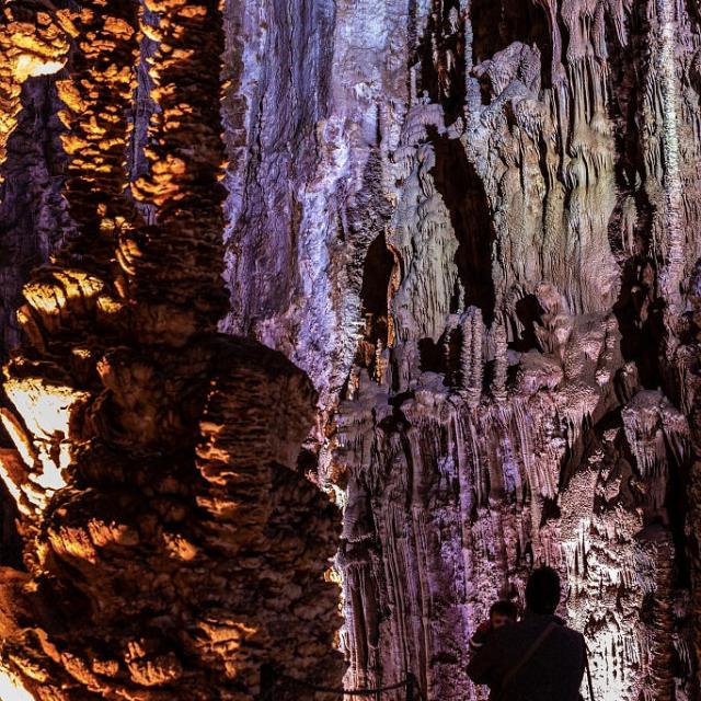 Stalagmites de l'Aven Armand sur le Causse Méjean