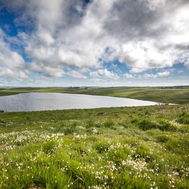 Lac De Saint Andeol and route des lacs in Aubrac.