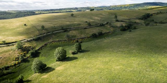 Aubrac landscape in spring.