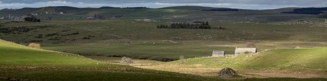 Burons Aubrac spring landscape.