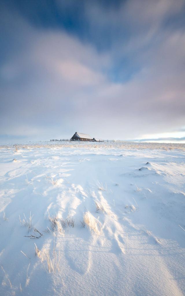 Snow and buron in Aubrac.