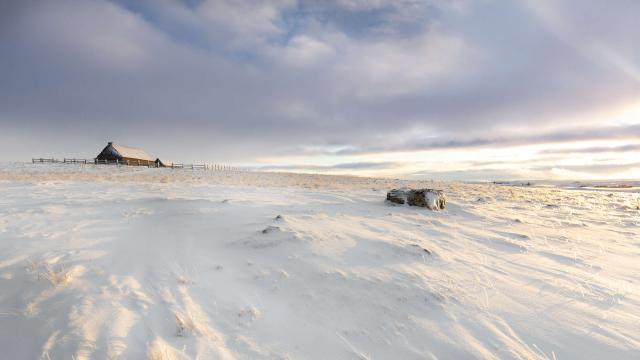 Aubrac winter landscape.