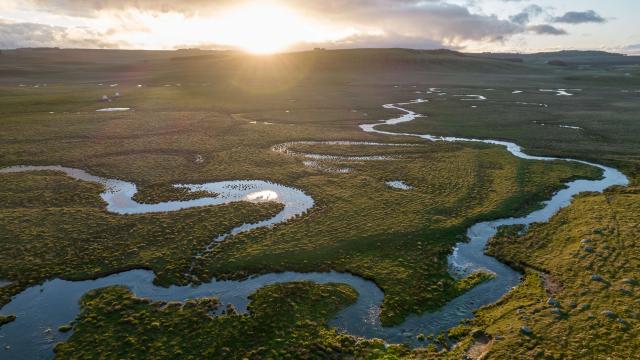 Aubrac stream.
