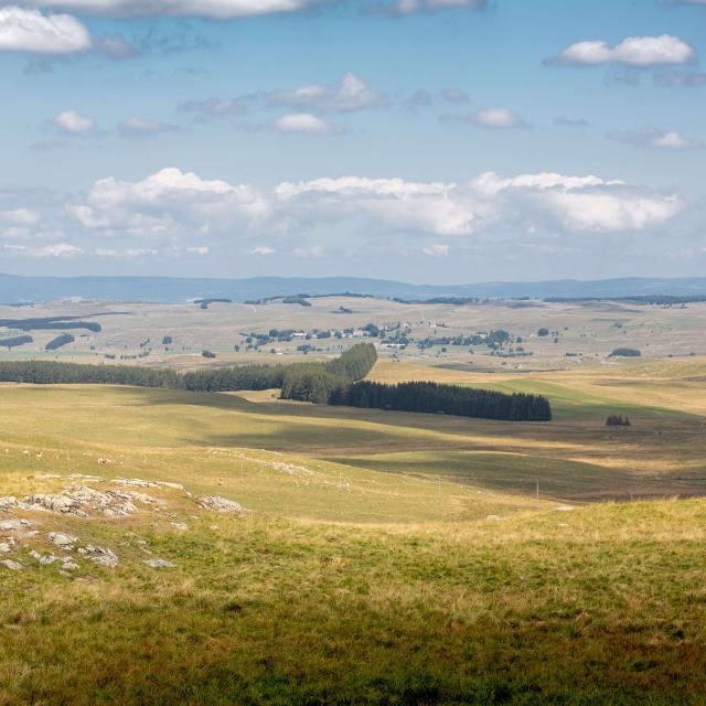View of the Aubrac plateau.