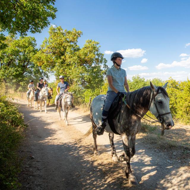 Horseback riding with friends in Lozère.