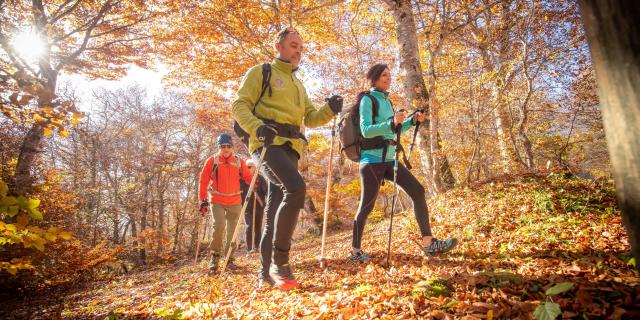 Hikers in the Aubrac forest in autumn.