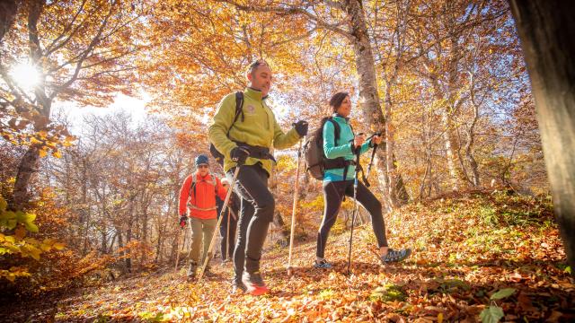 Hikers in the Aubrac forest in autumn.