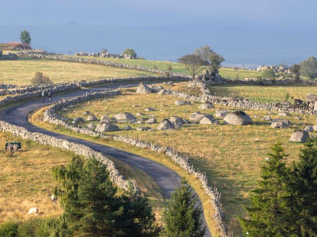 Hikers on the Chemin Compostelle, Aubrac road.