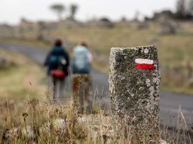 Hikers on the Aubrac GR.