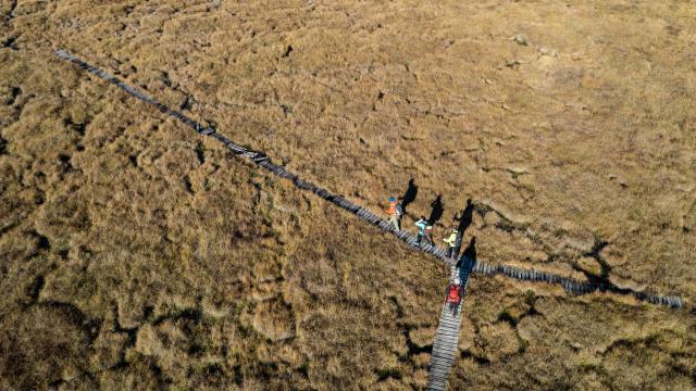 Hikers on the Aubrac plateau peat bog.