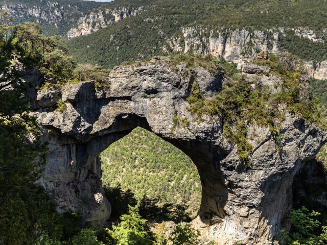 The Baousse del Biel and griffon vultures