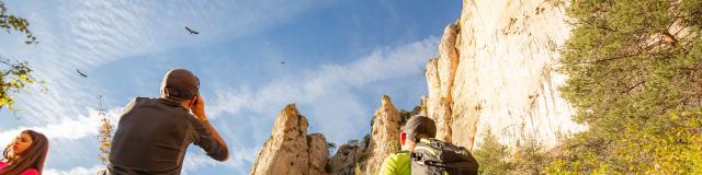 corniche méjean hiking vultures
