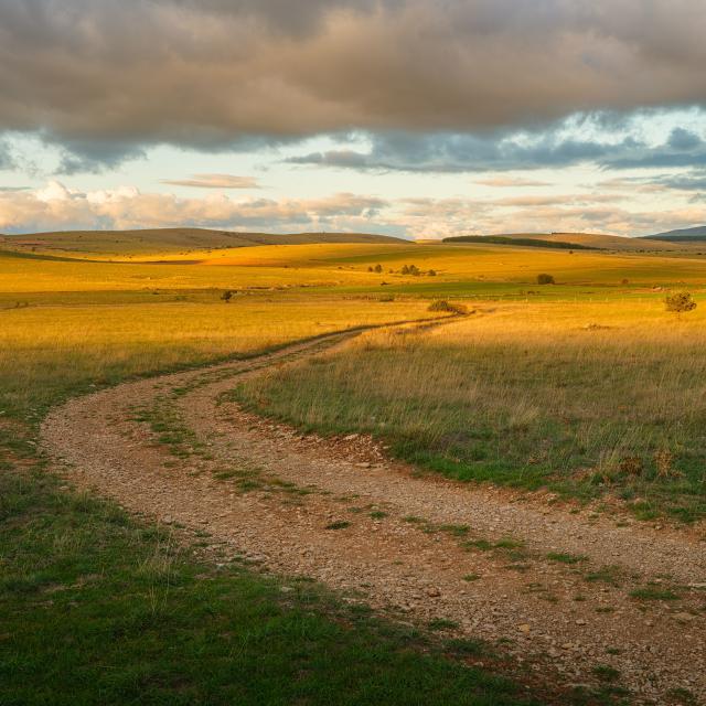 Causse Méjean sunset