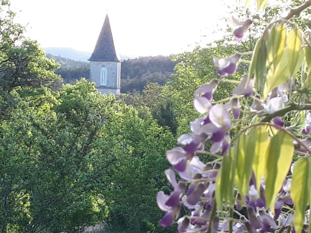 La Tieule spring flowers.